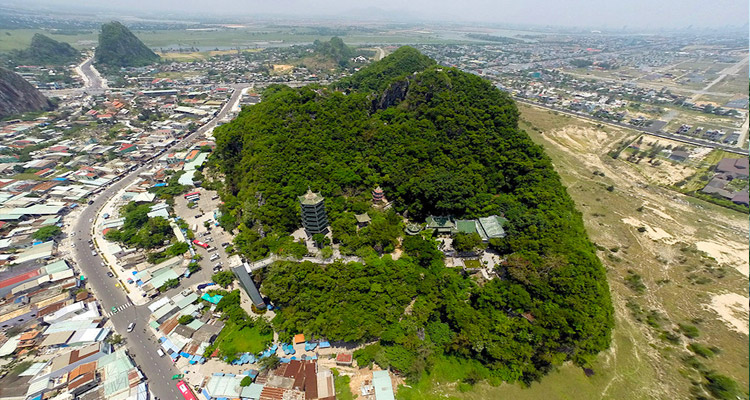 Thực Vật Ngũ Hành Sơn